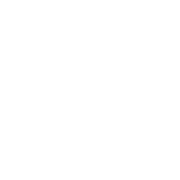 Primates
